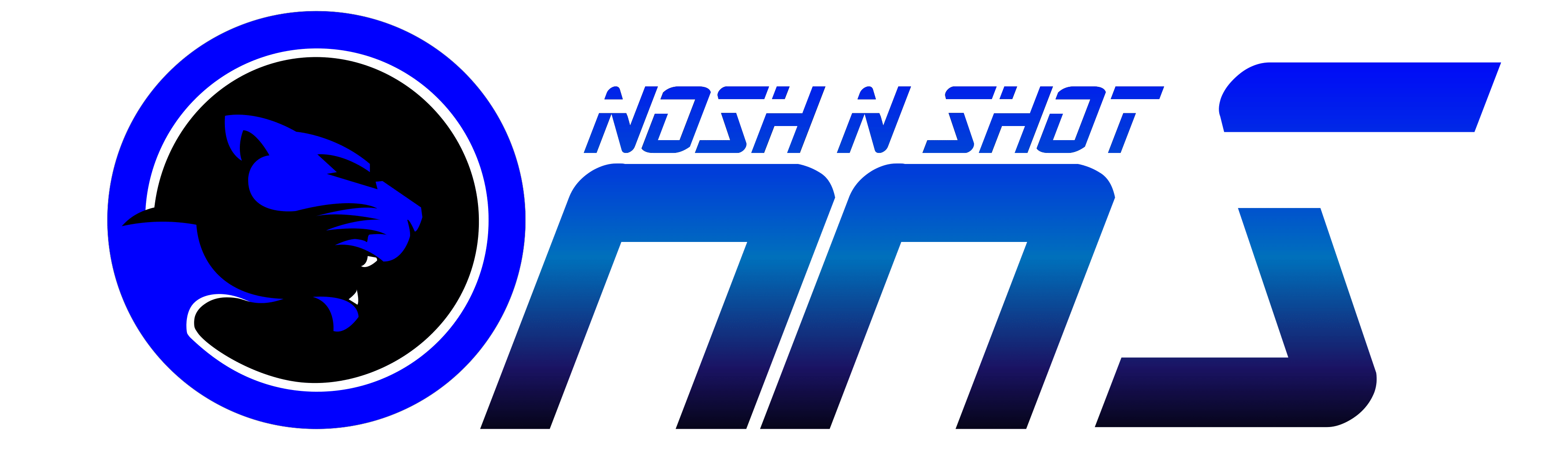 Noshnshots